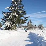 De Vinkenborg 8 Pers Nabij Holiday home Winterberg
