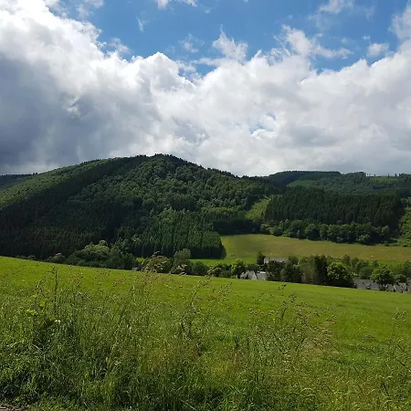 Ferienhaus De Vinkenborg Nabij