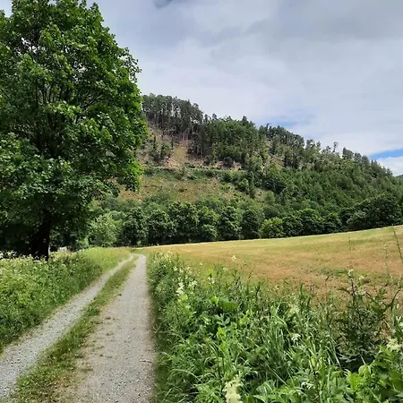 De Vinkenborg Nabij Hébergement de vacances Winterberg