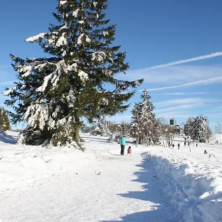 De Vinkenborg Nabij Hébergement de vacances Winterberg