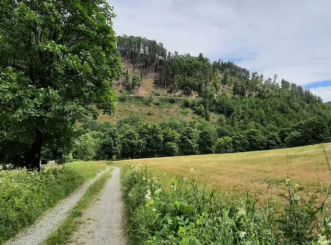 De Vinkenborg 8 Pers Nabij Tatil Evi Winterberg