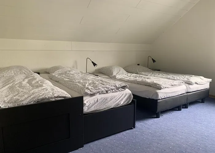 Tatil Evi De Vinkenborg 8 Pers Nabij