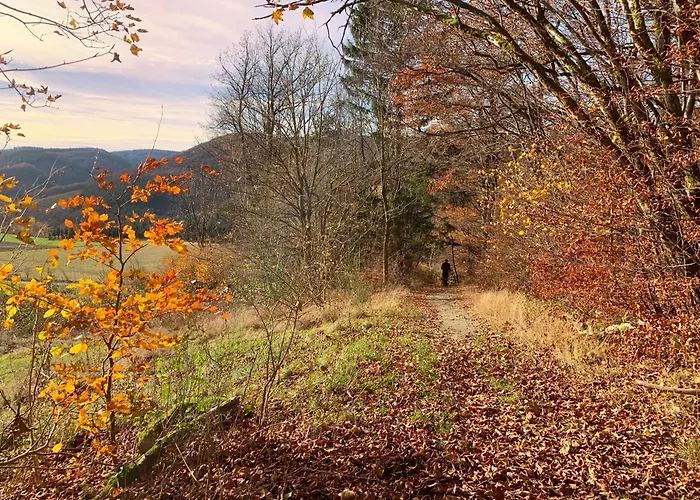 De Vinkenborg 8 Pers Nabij Будинок відпочинку
