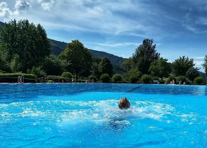 De Vinkenborg 8 Pers Nabij * Вінтерберг