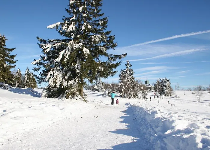 De Vinkenborg 8 Pers Nabij Tatil Evi Winterberg